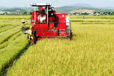  Sẽ thực hiện chính sách hỗ trợ giảm tổn thất trong nông nghiệp