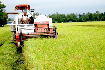 Hỗ trợ doanh nghiệp đầu tư vào nông nghiệp, nông thôn