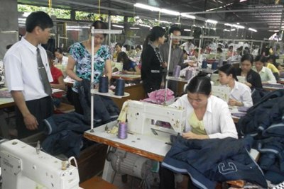  Gia tăng chế tài để phòng, chống nạn "trục lợi" bảo hiểm xã hội