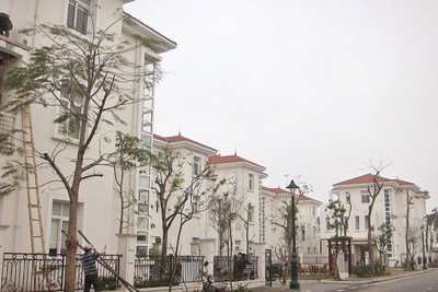 Thị trường đất nền liền kề, biệt thự: Tiền chênh đã trở lại