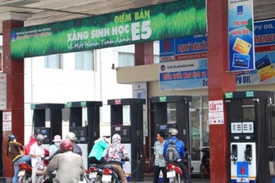 Đẩy mạnh sản xuất, tiêu thụ xăng E5 