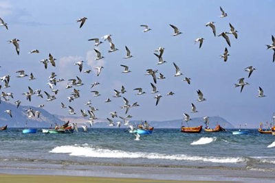 Đấu tranh hòa bình, bằng pháp luật là thực tế Đấu tranh hòa bình, bằng pháp luật là thực tế