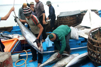 Hướng dẫn sử dụng kinh phí phát triển nguồn lợi thủy sản