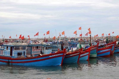 Sẽ chính thức thực hiện chính sách bảo hiểm phát triển thủy sản từ 25/8