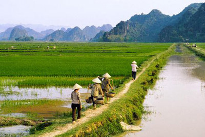  Quy định về sử dụng đất nông nghiệp