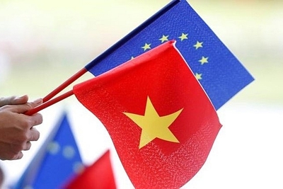 Các cam kết lao động trong Hiệp định thương mại tự do Việt Nam – Liên minh châu Âu 