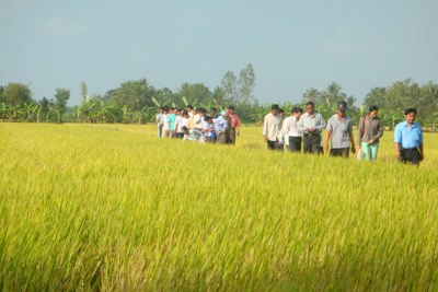Đẩy mạnh ứng dụng công nghệ thông tin vào nông nghiệp tại Hà Nam 