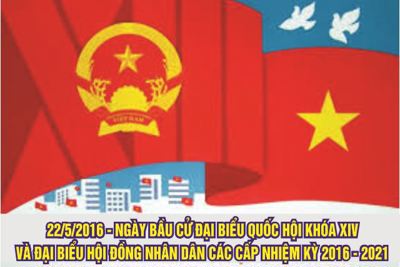 Công tác tuyên truyền phổ biến bầu cử tại Cục Hải quan Hà Tĩnh