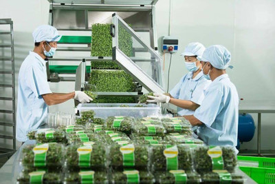 Ngân sách nhà nước hỗ trợ 70% chi phí đầu tư dự án bảo quản nông sản