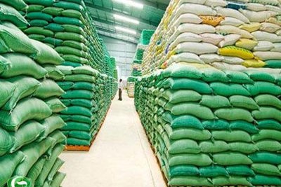 Chủ động, nỗ lực nâng cao vị thế ngành Dự trữ Quốc gia