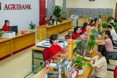 Agribank giữ vai trò chủ lực trên thị trường tài chính nông thôn