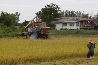Thái Lan sẽ dành hơn 2,7 tỷ USD để hỗ trợ nông dân trồng lúa