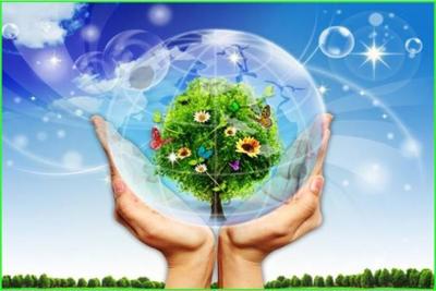 Kinh nghiệm quốc tế về chính sách tài chính ứng phó với biến đổi khí hậu