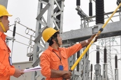 Không thể tái cơ cấu doanh nghiệp nhà nước mà không chịu lỗ