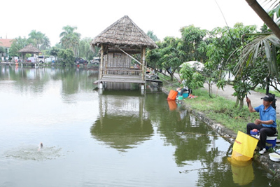 Vỡ mộng đầu tư khu sinh thái mini