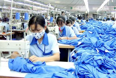 TPP và những vấn đề “hóc búa”