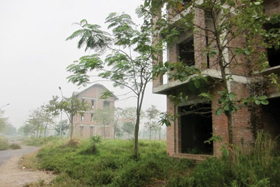 Siêu đô thị Mê Linh: Khách “cưỡi lưng hổ”