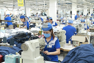Phân tích hiệu quả chi phí sản xuất trong doanh nghiệp dệt may