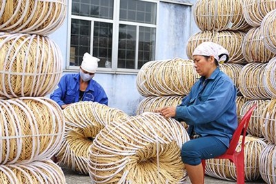 Khu vực kinh tế phi chính thức ở Việt Nam: Thực trạng và khuyến nghị