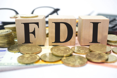 Hoàn thiện thể chế, chính sách ưu đãi về tài chính, tạo lực hút vốn FDI