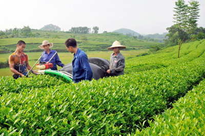 Tăng cường vai trò của Nhà nước về an sinh xã hội đối với nông dân Tăng cường vai trò của Nhà nước về an sinh xã hội đối với nông dân