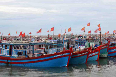 Cơ hội để tăng dư nợ cho vay đánh bắt xa bờ
