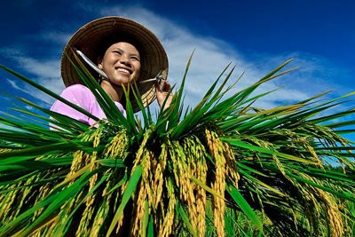 Tín dụng tam nông đang bứt phá