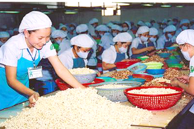 Luôn ưu tiên tín dụng cho nông nghiệp - nông thôn, trong đó có ngành điều - Tạp chí Tài bongdaso danh sách các trận đấu Luôn ưu tiên tín dụng cho nông bongdaso tin tức - nông thôn, trong đó có ngành điều