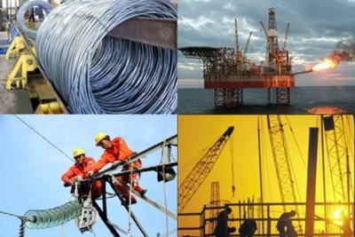 Quản trị công ty TNHH Nhà nước giữ 100% vốn