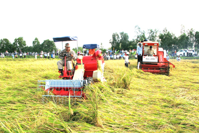 Hướng dẫn nguồn kinh phí hỗ trợ địa phương sản xuất lúa Hướng dẫn nguồn kinh phí hỗ trợ địa phương sản xuất lúa