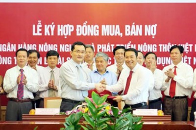 Trái phiếu đặc biệt có thể được gia hạn nhưng tối đa không quá 10 năm Trái phiếu đặc biệt có thể được gia hạn nhưng tối đa không quá 10 năm