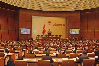 "Cần thiết sửa Luật để phù hợp cam kết quốc tế!"