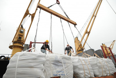 Việt Nam xuất siêu 1,7 tỷ USD