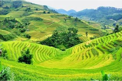 Dự án về môi trường được chi từ nguồn ngân sách Trung ương?