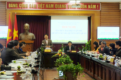 Chuyên nghiệp hóa bảo vệ tác quyền 