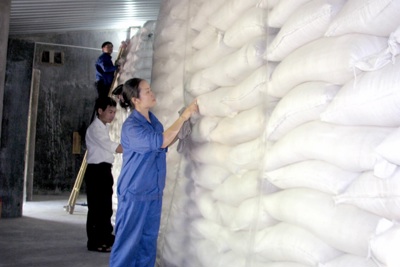 Hỗ trợ hơn 1.800 tấn gạo dự trữ cho học sinh các tỉnh miền Trung