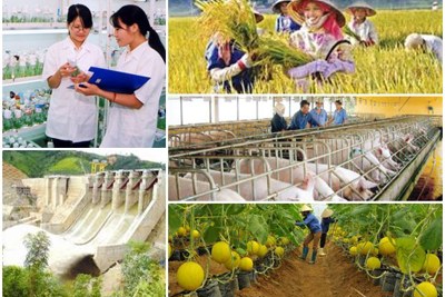 Doanh nghiệp có dự án nông nghiệp ưu đãi đầu tư được giảm 70% tiền sử dụng đất
