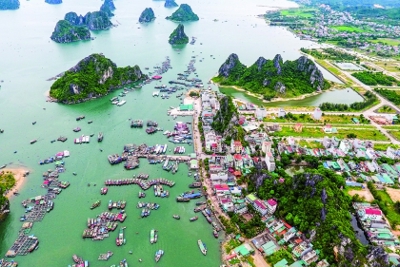 Kiểm soát quyền lực ở đặc khu: Cần đủ chặt để phát huy tính chủ động