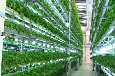Cần lực đẩy PPP vào nông nghiệp