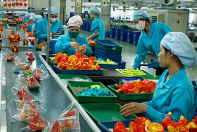 Hoàn thiện dự thảo về điều chỉnh lương hưu cho lao động nữ