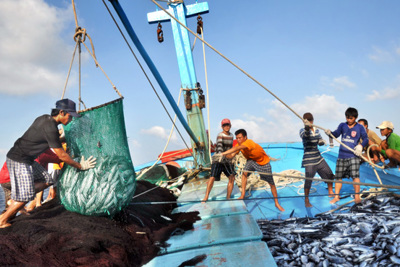 Hỗ trợ 102.064 triệu đồng để thực hiện chính sách phát triển thủy sản