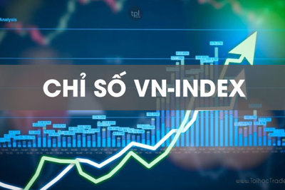 Cổ phiếu “vua” sẽ dẫn dắt VN-Index về vùng đỉnh 1.538 điểm trong tháng 4/2022?