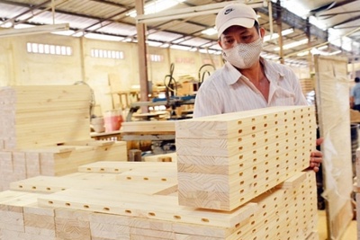 Tháo gỡ rào cản thương mại cho thị trường gỗ