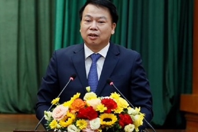Thứ trưởng Nguyễn Đức Chi là thành viên Hội đồng tư vấn cải cách thủ tục hành chính  của Thủ tướng Chính phủ