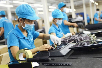 Người lao động Hà Nội được tuyển dụng với mức lương 20 triệu đồng/tháng