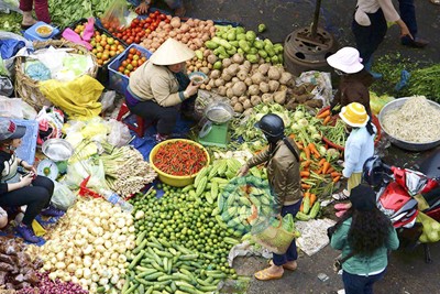 Lộ trình quản lý cơ sở sản xuất, kinh doanh thực phẩm trong chợ tại Hà Nội
