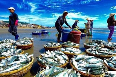 Ngành Thủy sản Việt Nam: Chưa thể gỡ được “thẻ vàng”?