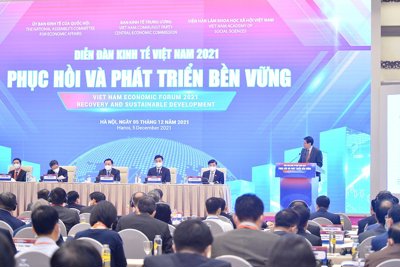 Chuyên gia quốc tế khuyến nghị gì về phục hồi và phát triển kinh tế bền vững của Việt Nam?