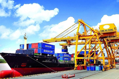 Tốc độ tăng trưởng xuất khẩu của Việt Nam đạt trên 15% trong giai đoạn 2011-2019