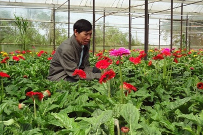 Hoàn thuế giá trị gia tăng cho dự án đầu tư?